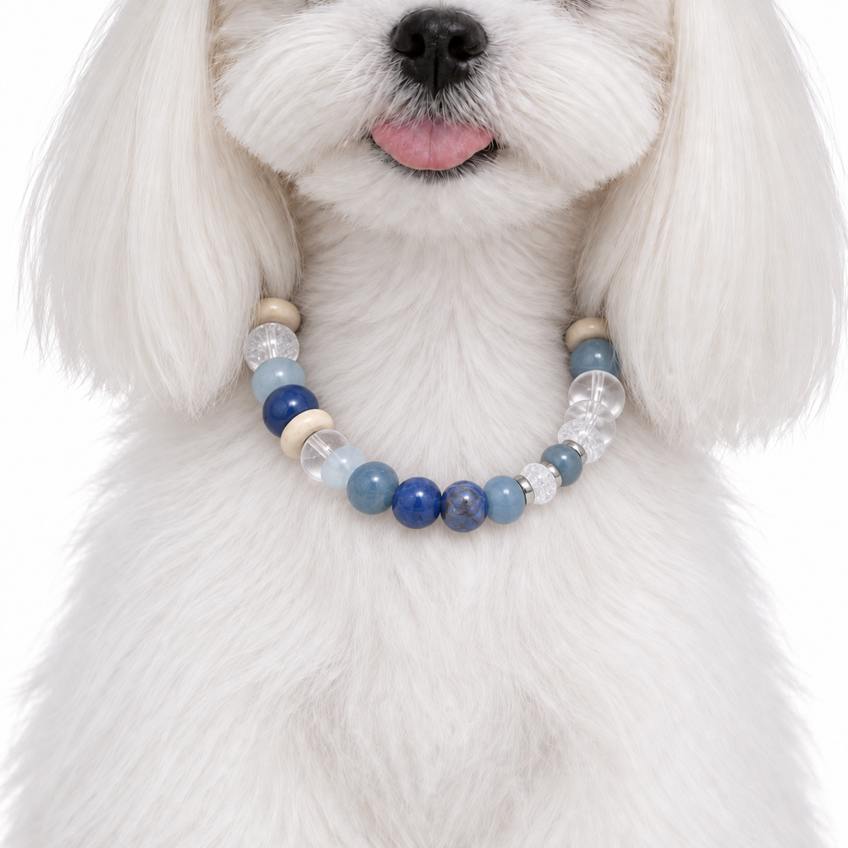CONNECT